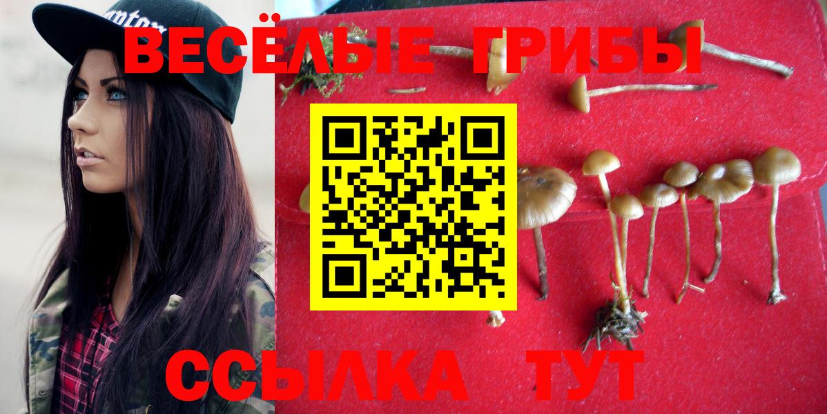 Октябрьский  Псилоцибиновые грибы MAGIC MUSHROOMS  где продают   Вход с VPN 
